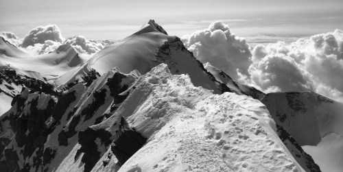 The path is easy if you know what you're doing!