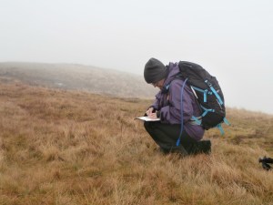 Ingrid planning her descent during a Silver NNAS assessment