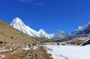 Pumori, 7,161 metres on the left of the skyline. Lingtren, 6,713 metres and Khumbutse, 6,639m to the right.