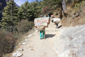 Big loads being carried to Namche Bazaar for market day.