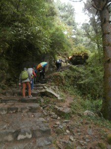 A wet day on the road to Namche Bazaar