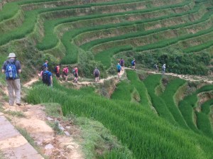 Team members walking through the fields near Sa Pa, North Vietnam