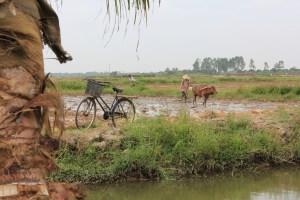 Hot work in the fields