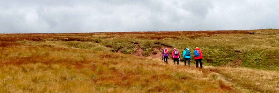 Students hand railing the edge of the escarpment