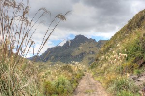 Beautiful walking in Mojanda 