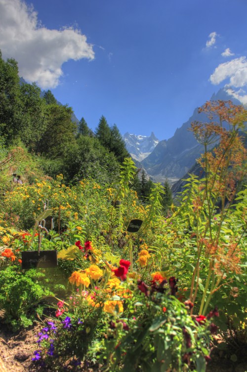 Looking toward the Mer de Glace from Le Chapeau Chalet
