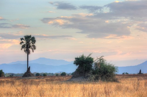 Liwonde national park, near Mvuu Lodge.
